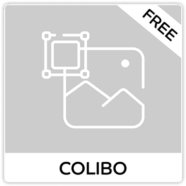 Image Widget