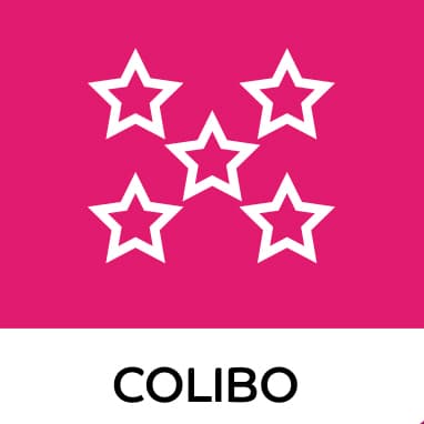 Silver and Gold Support Service