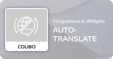 Auto-translate