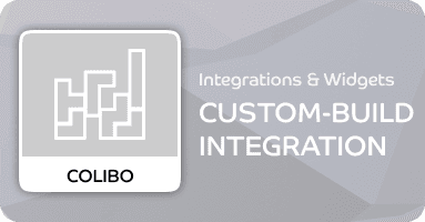 Custom build integrations