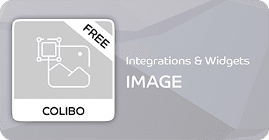 Image Widget