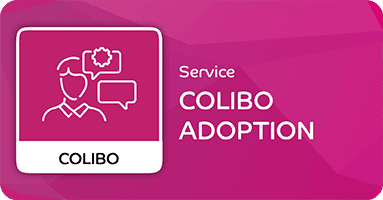 Adoption Consulting Services