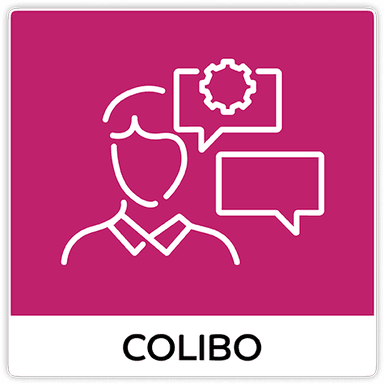 Adoption Consulting Services